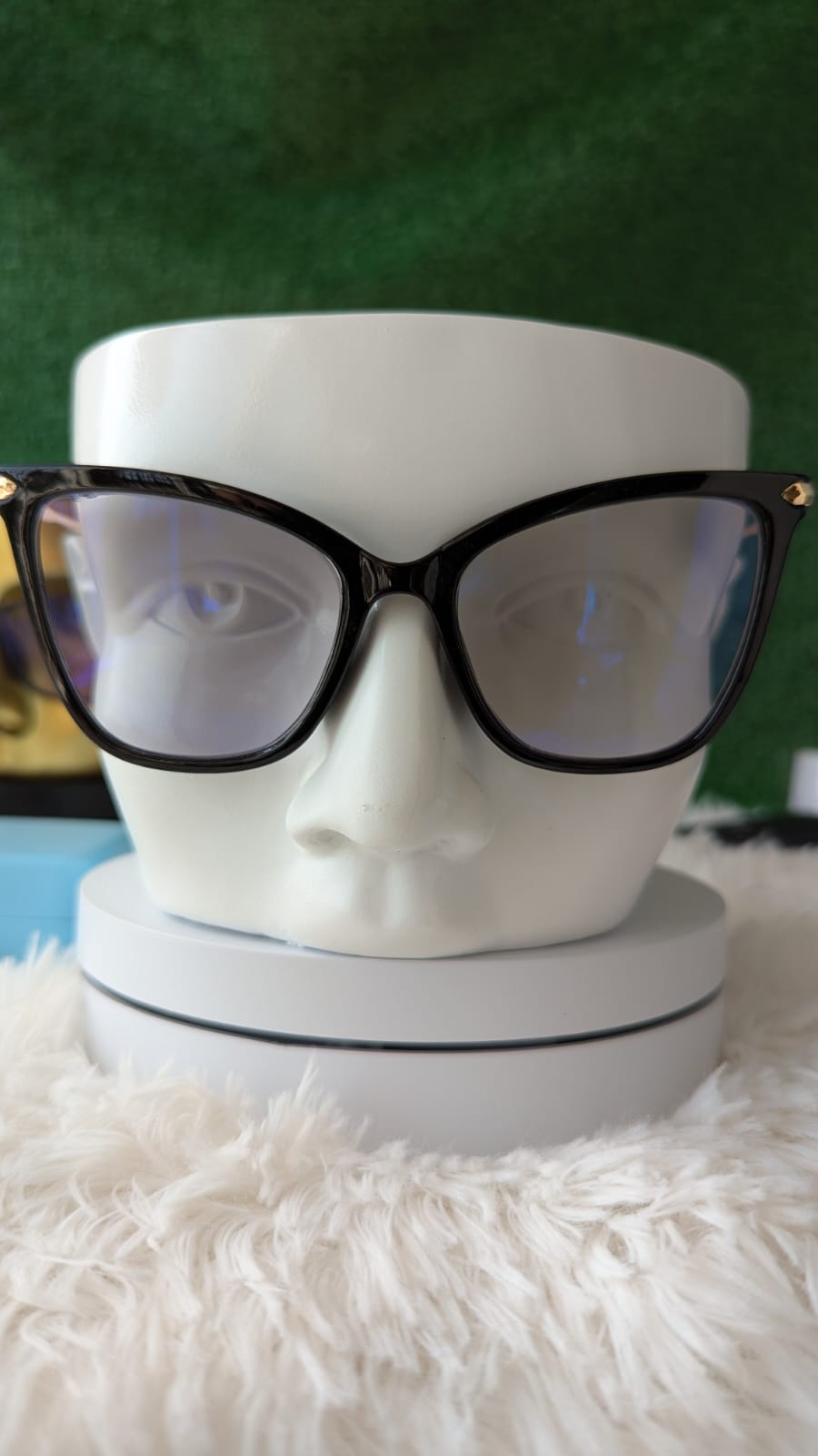 Lunette prémium PBP16