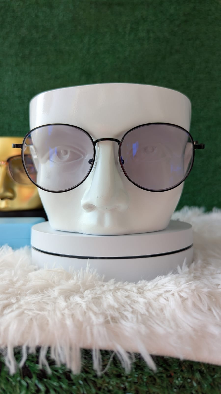 Lunette prémium PBP18